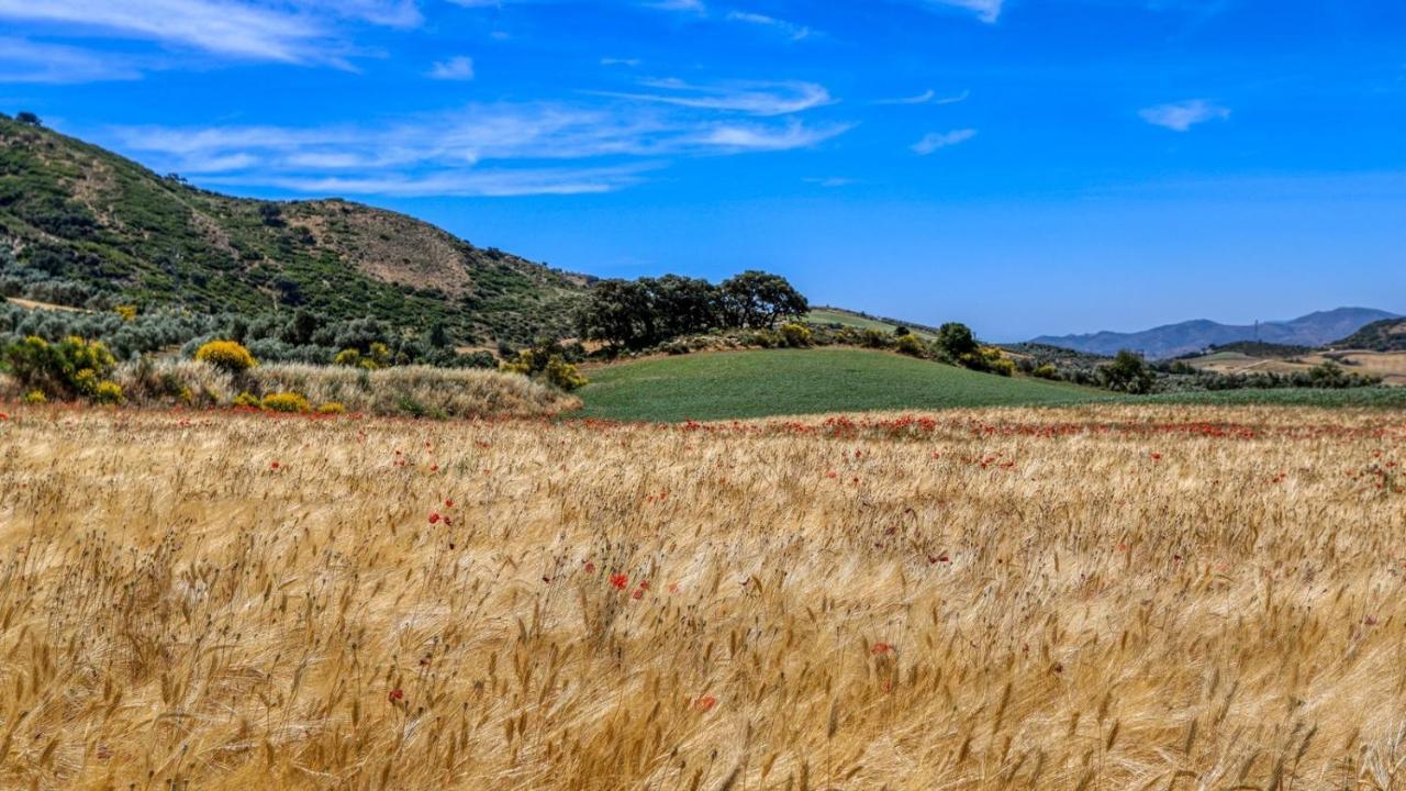 Almendros Antequera - Los Nogales By Ruralidays Villa Exterior photo